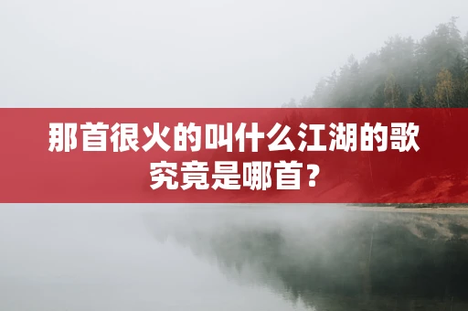 那首很火的叫什么江湖的歌究竟是哪首？