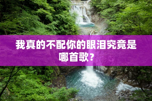 我真的不配你的眼泪究竟是哪首歌？