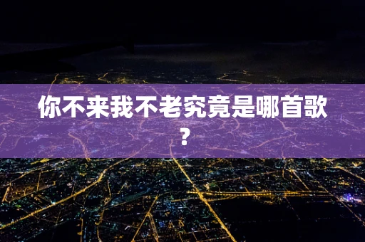 你不来我不老究竟是哪首歌？