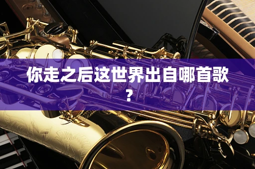你走之后这世界出自哪首歌？