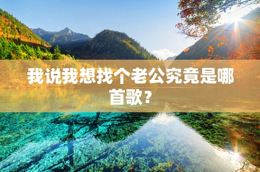 我说我想找个老公究竟是哪首歌？