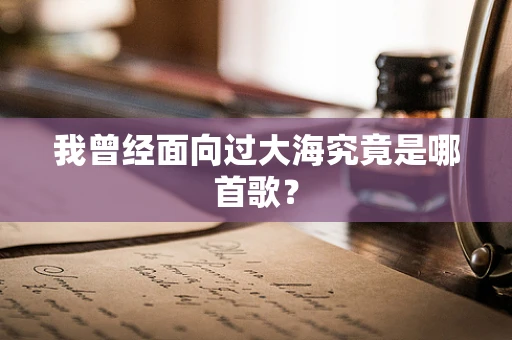我曾经面向过大海究竟是哪首歌？