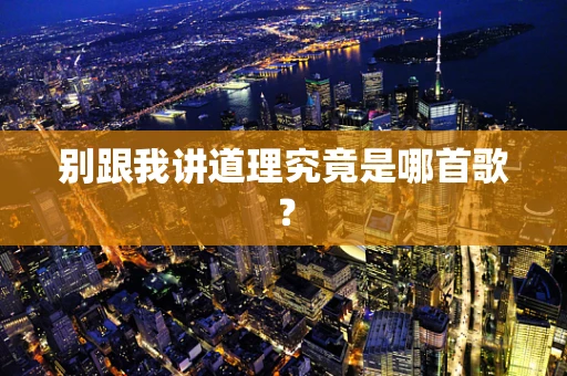 别跟我讲道理究竟是哪首歌？
