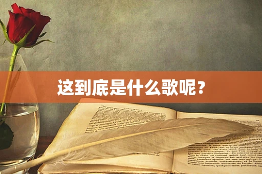 这到底是什么歌呢？