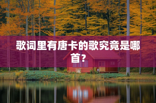 歌词里有唐卡的歌究竟是哪首？