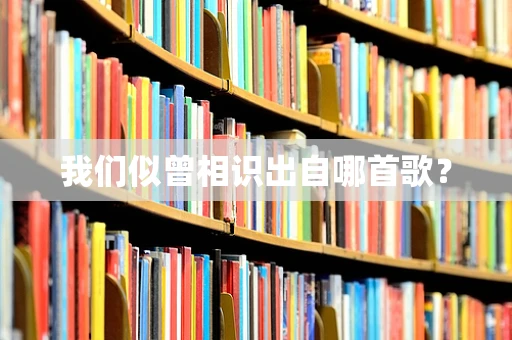 我们似曾相识出自哪首歌？