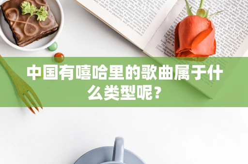 中国有嘻哈里的歌曲属于什么类型呢？