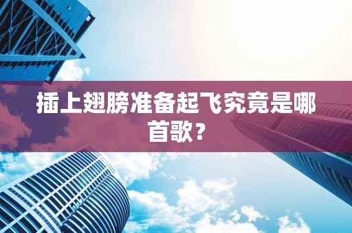 插上翅膀准备起飞究竟是哪首歌？