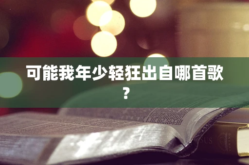 可能我年少轻狂出自哪首歌？