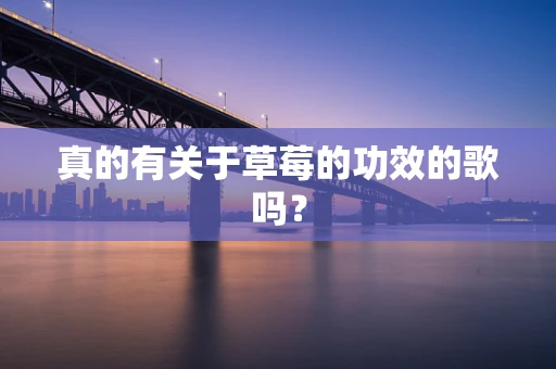 真的有关于草莓的功效的歌吗？