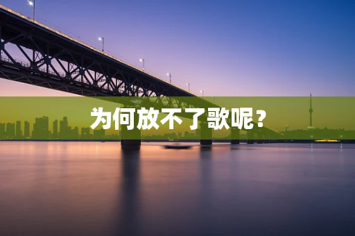 为何放不了歌呢？