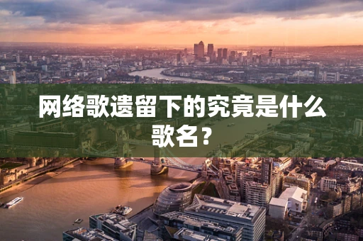 网络歌遗留下的究竟是什么歌名？