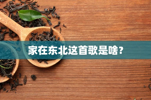 家在东北这首歌是啥？