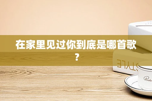 在家里见过你到底是哪首歌？