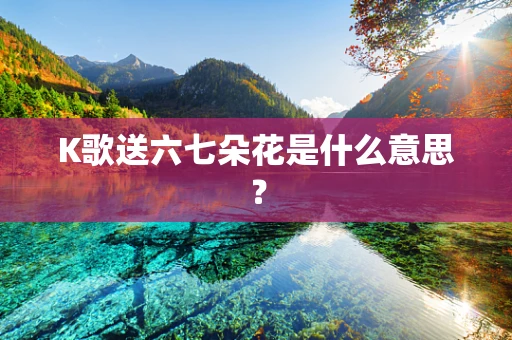 K歌送六七朵花是什么意思？