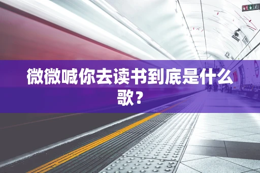 微微喊你去读书到底是什么歌？