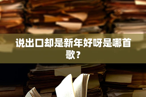 说出口却是新年好呀是哪首歌？