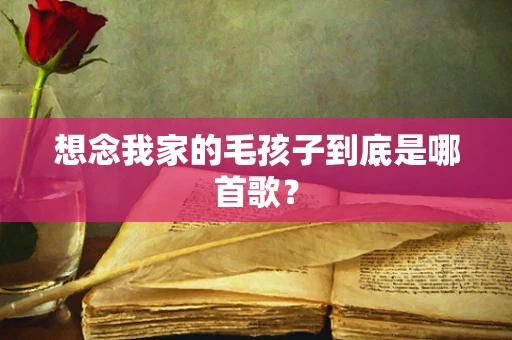 想念我家的毛孩子到底是哪首歌？