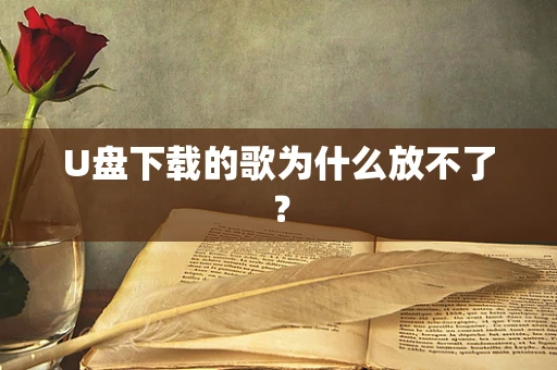 U盘下载的歌为什么放不了？