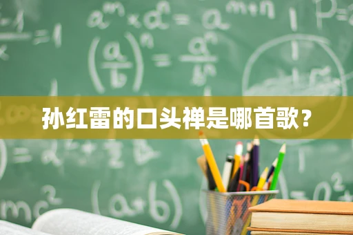 孙红雷的口头禅是哪首歌？