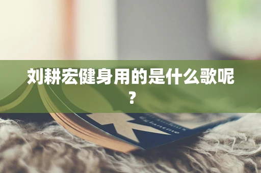 刘耕宏健身用的是什么歌呢？
