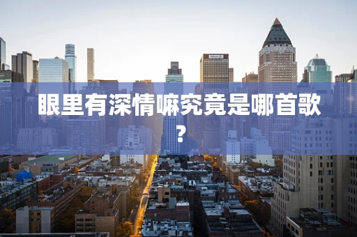 眼里有深情嘛究竟是哪首歌？