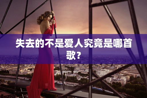 失去的不是爱人究竟是哪首歌？