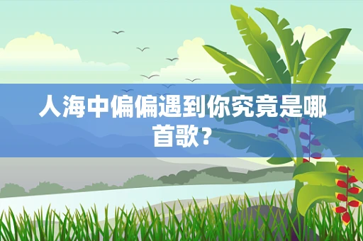 人海中偏偏遇到你究竟是哪首歌？