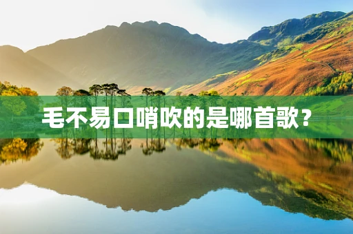 毛不易口哨吹的是哪首歌？