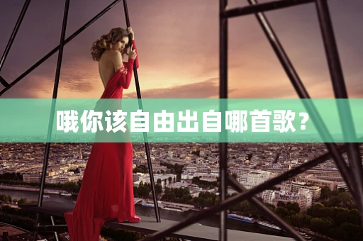 哦你该自由出自哪首歌？