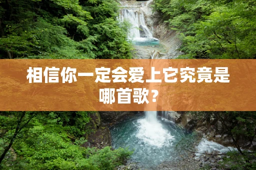 相信你一定会爱上它究竟是哪首歌？