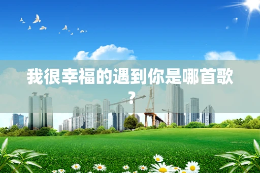 我很幸福的遇到你是哪首歌？