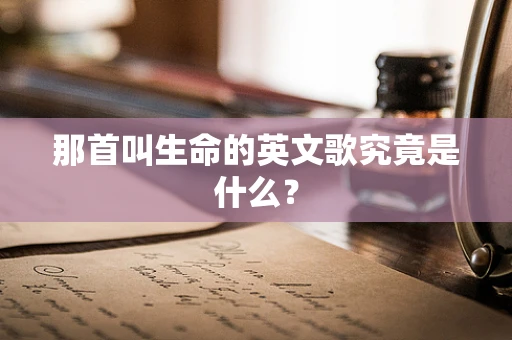 那首叫生命的英文歌究竟是什么？
