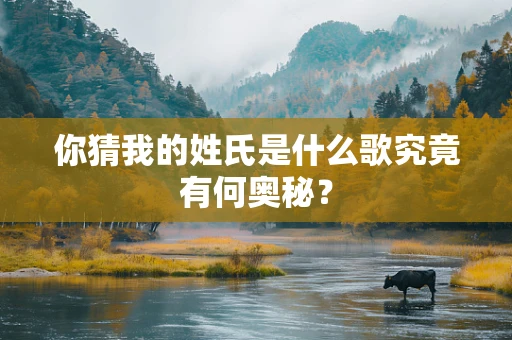 你猜我的姓氏是什么歌究竟有何奥秘？
