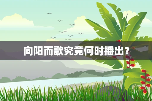 向阳而歌究竟何时播出？
