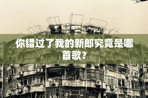你错过了我的新郎究竟是哪首歌？
