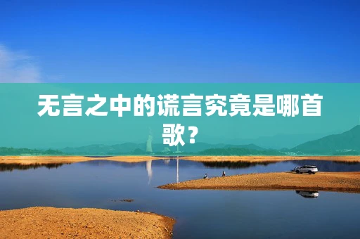 无言之中的谎言究竟是哪首歌？