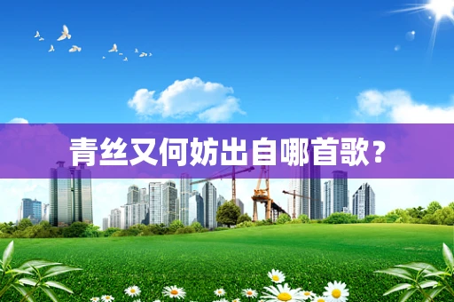 青丝又何妨出自哪首歌？
