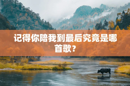 记得你陪我到最后究竟是哪首歌？