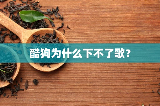 酷狗为什么下不了歌？