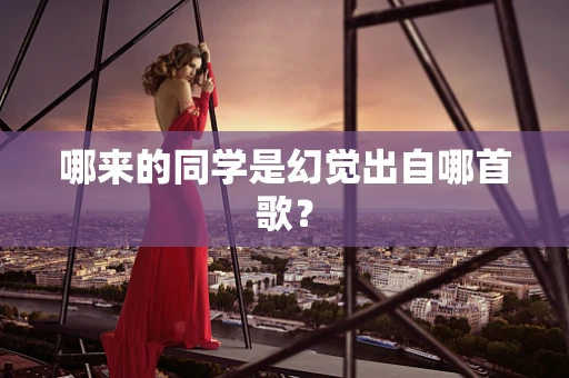 哪来的同学是幻觉出自哪首歌？