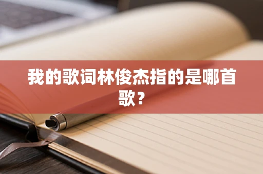 我的歌词林俊杰指的是哪首歌？