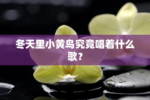 冬天里小黄鸟究竟唱着什么歌？