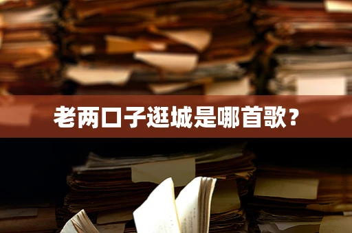 老两口子逛城是哪首歌？