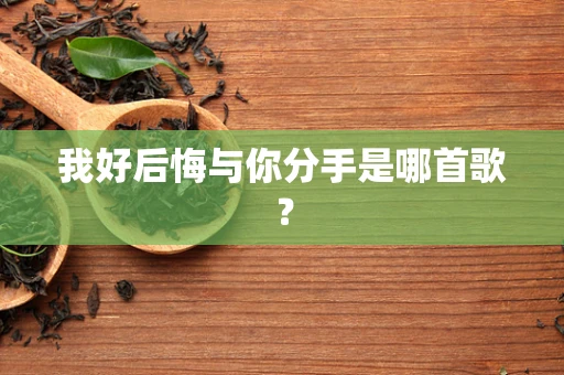 我好后悔与你分手是哪首歌？