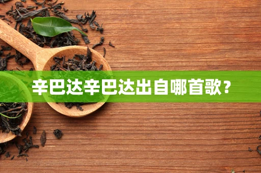 辛巴达辛巴达出自哪首歌？