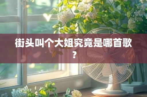 街头叫个大姐究竟是哪首歌？