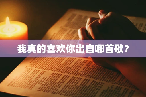 我真的喜欢你出自哪首歌？