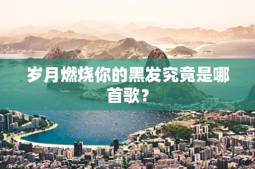 岁月燃烧你的黑发究竟是哪首歌？