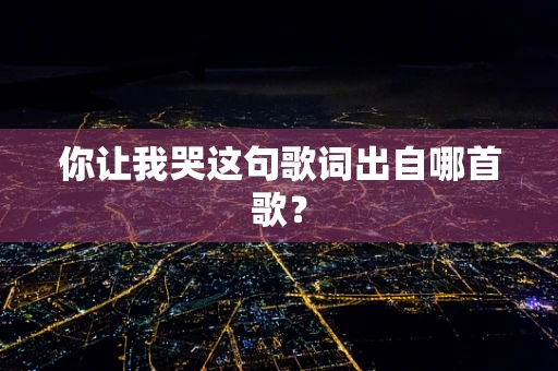 你让我哭这句歌词出自哪首歌？
